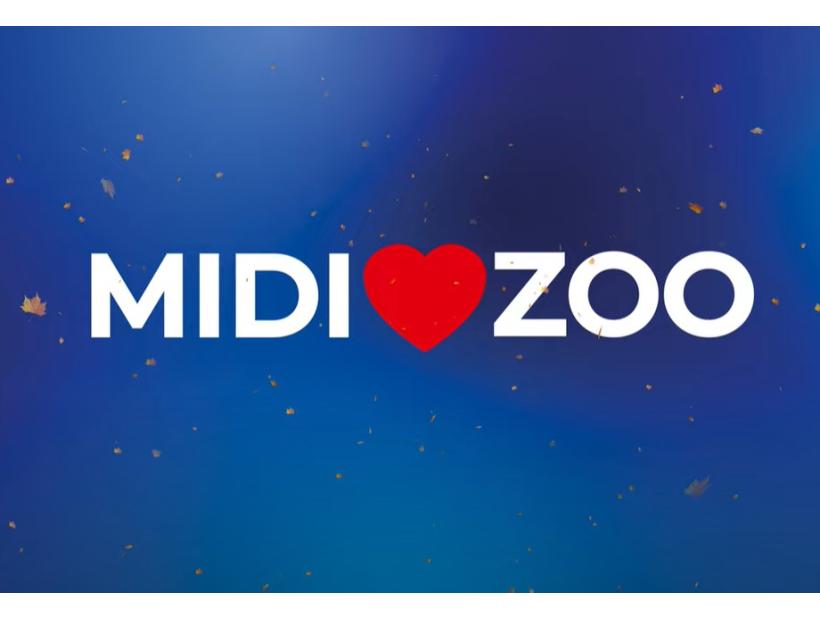 midi_zoo.jpg